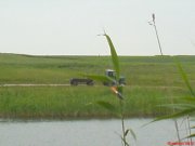 DSC00352.JPG