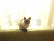 DSC00177.JPG