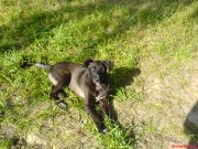 DSC00166.JPG