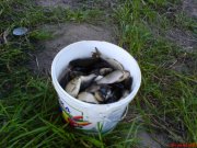 DSC00171.JPG