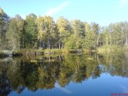 DSC00463.JPG