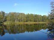 DSC00464.JPG