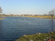Горбакiв_2.JPG