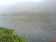 DSC00466.JPG