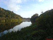 DSC00480.JPG