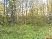 DSC00481.JPG