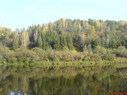 DSC00483.JPG