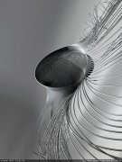 shape4404h.jpg