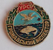 100_2020.jpg