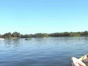 IMG_8885_1.JPG