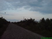 DSC01028.JPG