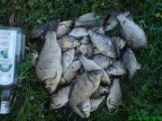 DSC01057.JPG