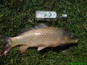 DSC01051.JPG