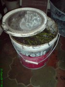 DSC01024.jpg