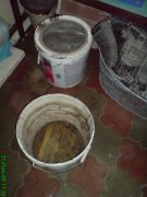 DSC01025.jpg