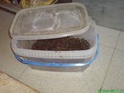 DSC01026.JPG