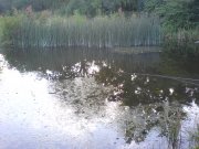 DSC02865.JPG
