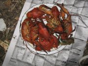 IMG_2157.jpg