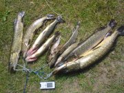 DSC00157.JPG