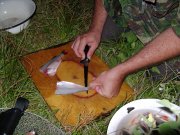 DSC03574.jpg