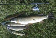 08082009022.jpg