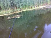 10082009666.jpg