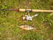 DSC00869.JPG