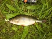 DSC00876.JPG