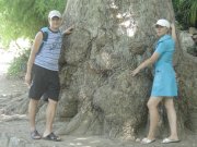 IMG_4293.jpg