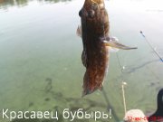 DSC00171.JPG