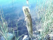 Photo-0070.jpg