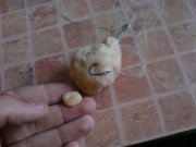 DSC00439.JPG