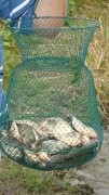 DSC04807.JPG