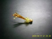PIC_0124.jpg
