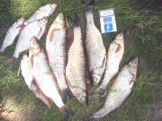 IMG_9017.JPG