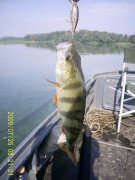 PIC_0060.jpg