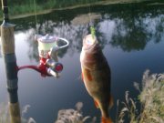 р. Орель 20.08.2009 г..jpg