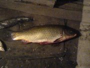 DSC00591.JPG