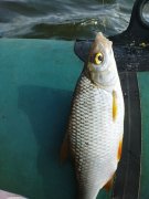 DSC00313.JPG