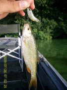 PIC_0058.jpg
