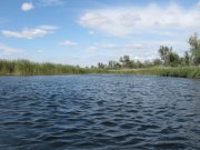 IMG_0130.jpg