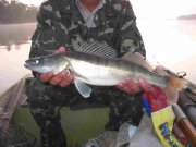 IMG_9026_1.JPG