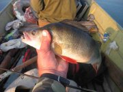 IMG_9033_1.JPG