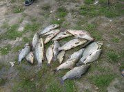IMG_2016.jpg