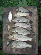 IMG_1935.jpg