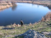 IMG_2867_1.jpg