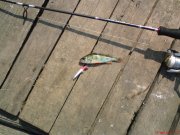 DSC00090.JPG