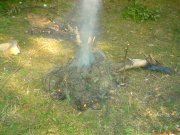 DSC00012.JPG