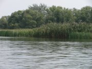 IMG_0169.jpg