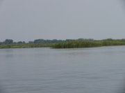 IMG_0170.jpg